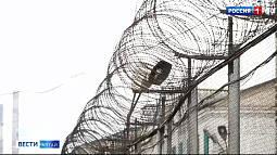 Почти 20 жителей Алтайского края в этом году отправились за решётку по статьям, связанным с терроризмом