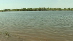 Из-за подъёма уровня воды в Оби Усть-Пристанскому району грозит подтопление