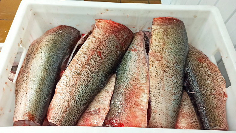 «Меняем стейк из сёмги на карася»: АО «Курорт Белокуриха» постепенно отказывается от морской рыбы