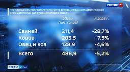 В хозяйствах Алтайского края с прошлого года почти на треть сократилось поголовье свиней
