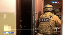В Барнауле полицейские задержали хакера, которого подозревают во взломе базы данных сети пиццерий Dodo Pizza