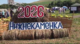 В селе Нижнекаменка провели фестиваль народных ремёсел