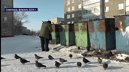 В Славгороде и ближайших муниципалитетах наконец-то нашли ответственного за вывоз мусора