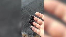 Причиной загрязнения озера Большое Яровое стал выброс в атмосферу мелкозернистой пыли