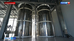 С Алтая за рубеж будут поставлять до 9000 тонн подсолнечного масла в месяц