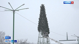 В Бийске начали монтировать городскую ёлку