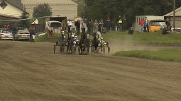 На барнаульском ипподроме  разыграют Кубок губернатора Алтайского края