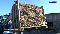 Работники леса из Чеканихи отметили профессиональный праздник