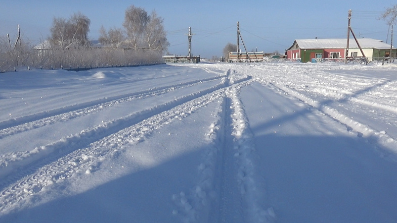 Природа взяла своё: в Кулунде впервые за зиму выпало много снега