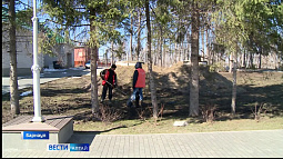 В Барнауле сегодня состоится последний в этом сезоне «чистый четверг»