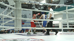 Первенство Сибири по боксу проходит в Барнауле на площадке «Алтайского ринга»