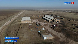 В Локтевском районе аграрии объединились в кооператив