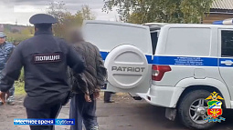 Телефонный звонок обернулся судимостью сразу по двум уголовным статьям для жителя пригорода Барнаула