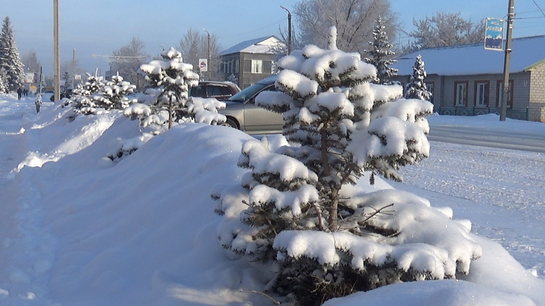 Природа взяла своё: в Кулунде впервые за зиму выпало много снега