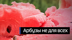 Фермер из Кулундинского района приглашает всех желающих за арбузами