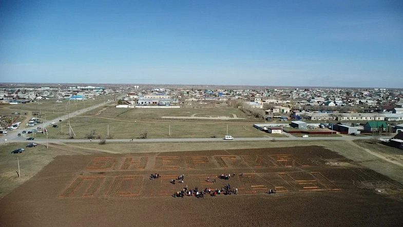 В окрестностях Кулунды высадили деревья в виде надписи «Энергия Победы»