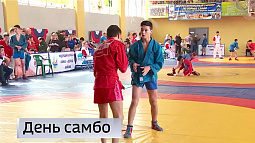 В Алтайском крае самбо занимается более 3,5 тысячи человек