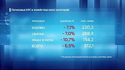 В Алтайском крае зафиксирован спад поголовья КРС, овец и коз
