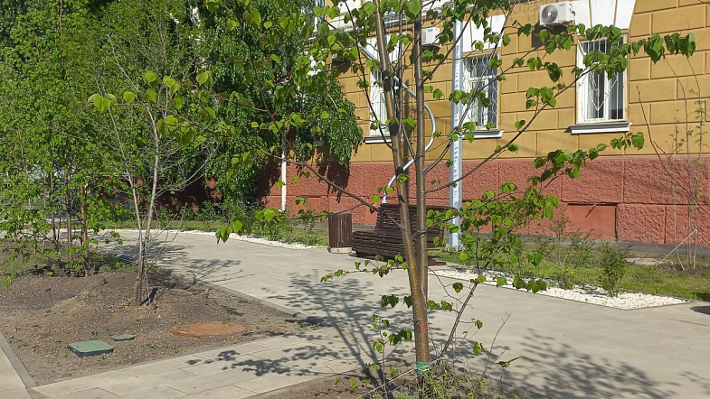 Как выглядит сквер Медиков в Барнауле спустя год?