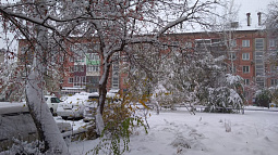 В Бийске усилят контроль над тем, как зимой управляющие компании очищают дворы от снега