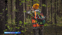 Сегодня в барнаульском парке «Изумрудный» расскажут, как обезопасить себя в лесу