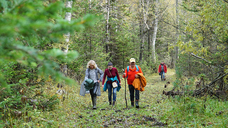 В Алтайском крае туристы смогут увидеть, как «текут» каменные реки