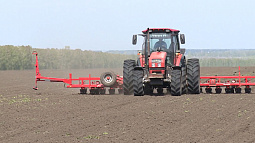 Аграрии Алтайского края посеяли около 20 тысяч гектаров озимых культур