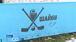 Обновлённая хоккейная коробка появилась в барнаульском посёлке Авиатор