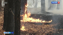 В Алтайском крае действует пожароопасный сезон