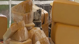Продукция алтайских фермеров стала доступнее потребителям в Барнауле