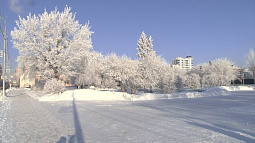 В рейтинге самых тёплых зим за последние 50 лет нынешняя занимает 7 строчку