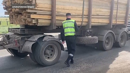 В Алтайском крае завели шесть уголовных дел за контрабанду древесины