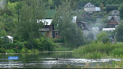 Дачники на Алтае не могут жить без моркови и гладиолусов