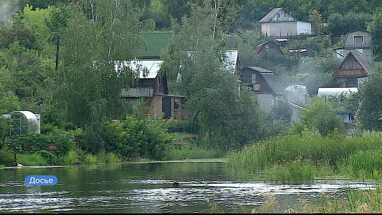 Дачники на Алтае не могут жить без моркови и гладиолусов