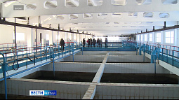 В период паводка Росводоканал проводит больше тысячи исследований качества воды за сутки 