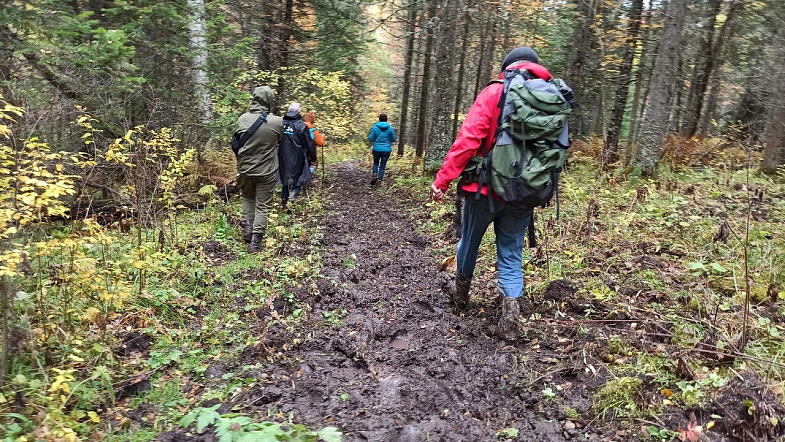 В Алтайском крае туристы смогут увидеть, как «текут» каменные реки
