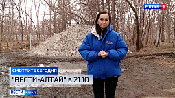 Жители Барнаула сообщили о луже, наполненной фекалиями