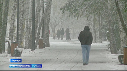 Циклон, принёсший на юг Западной Сибири мокрый снег и оттепели, ушёл на восток