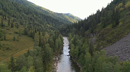 На охраняемой территории природного парка «Предгорья Алтая» будут развивать туризм