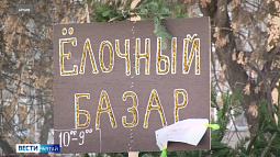 В Бийске заработали ёлочные базары