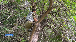 В Барнауле волонтёры облагораживают общественные пространства