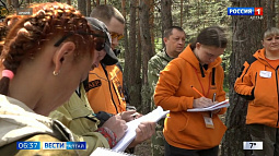 Поисково-спасательный отряд «Лиза Алерт» в ближайшие выходные проведет межрегиональные учения