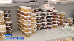 В Алтайском крае пройдёт конкурс, на котором должны решить, чьи пчёлы собирают самый вкусный мёд