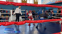 В Камне-на-Оби подвели итоги межрегионального турнира по кикбоксингу «Юный боец»