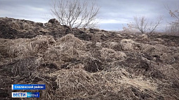 Власти края просят Минсельхоз РФ повременить с законом о побочных продуктах животноводства