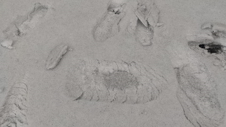 «Наступили на те же грабли»: после ремонта котельная в Змеиногорске не перестала выбрасывать сажу