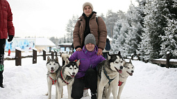 В Барнауле сотрудники приюта для животных рассказали горожанам, почему не стоит заводить ездовых собак