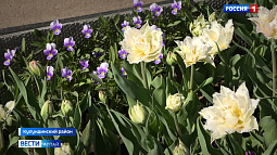 Дни майских каникул жители Алтайского края провели в дачных посёлках и садоводческих товариществах