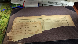 Как работают библиотеки в регионах Сибири?