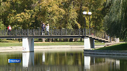 В Барнауле планируют создать организацию для управления всеми парками города и поддержать инвесторов в зелёные зоны